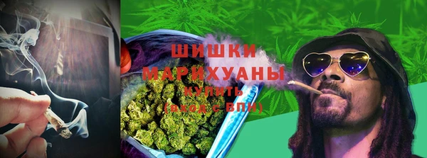 трава Беломорск