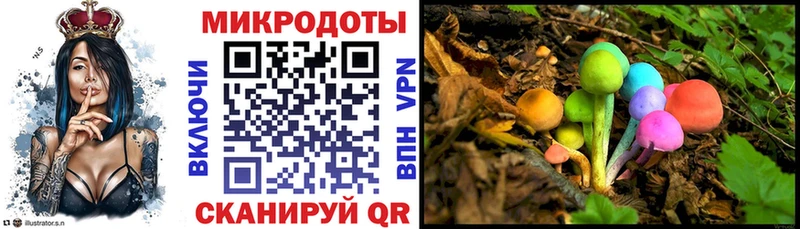 Псилоцибиновые грибы Psilocybine cubensis  сколько стоит  Гай 
