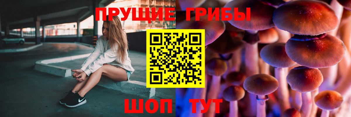 Гай  Галлюциногенные грибы прущие грибы  где купить   Вход с VPN 
