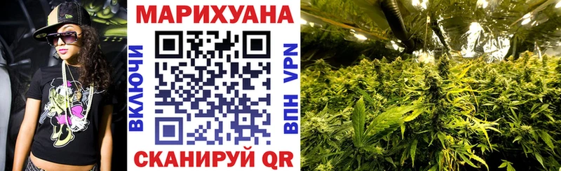 Бошки Шишки SATIVA & INDICA  Гай 