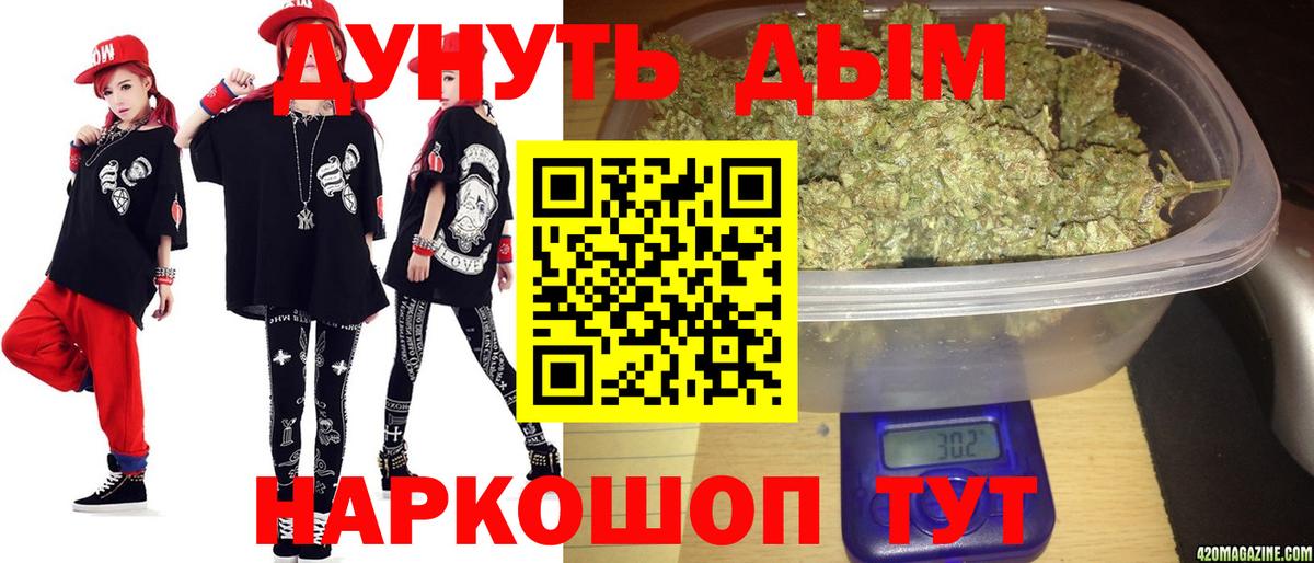 Гай  Канабис план  Марихуана гибрид  Марихуана AK-47  Каннабис Amnesia  Вход с VPN 